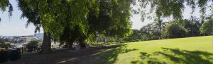 A clean, green suburb in Brisbane