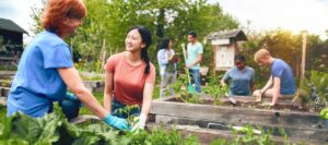 People in a garden